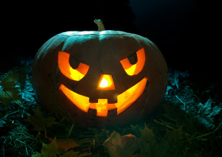 Картинка праздничные хэллоуин тыква