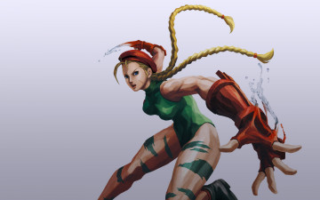 Картинка street fighter видео игры cammy уличный боец