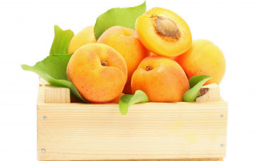 Картинка еда персики сливы абрикосы фрукты