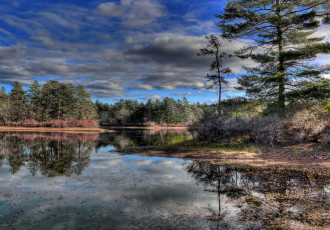 Картинка природа реки озера лес река