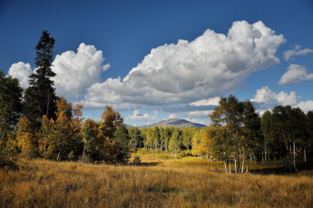 Картинка природа поля горы лес поле трава