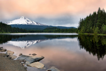 Картинка природа реки озера орегон гора маунт худ лес отражение вода пейзаж