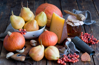 Картинка еда разное натюрморт сыр мед мёд тыква груши овощи ягоды фрукты