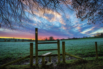 Картинка природа поля поле трава изгородь