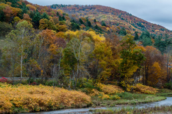 Картинка природа реки озера горы лес река
