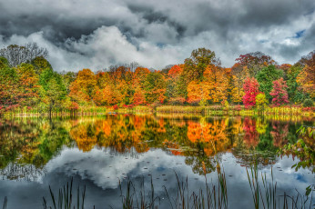 Картинка природа реки озера лес река осень