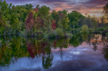 Картинка природа реки озера лес река