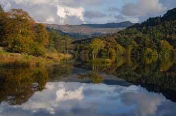 Картинка природа реки озера лес река осень