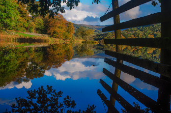 Картинка природа реки озера лес река осень