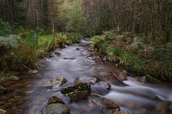 Картинка природа реки озера лес река поток