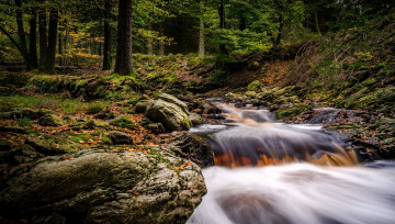 Картинка природа водопады лес река водопад