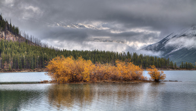 Обои картинки фото природа, реки, озера, небо, деревья, вода