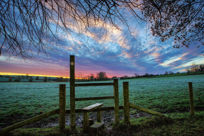 Обои картинки фото природа, поля, поле, трава, изгородь