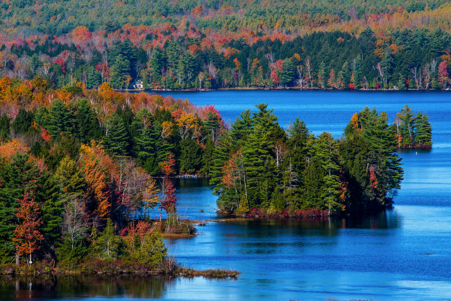 Обои картинки фото природа, реки, озера, лес, река, осень