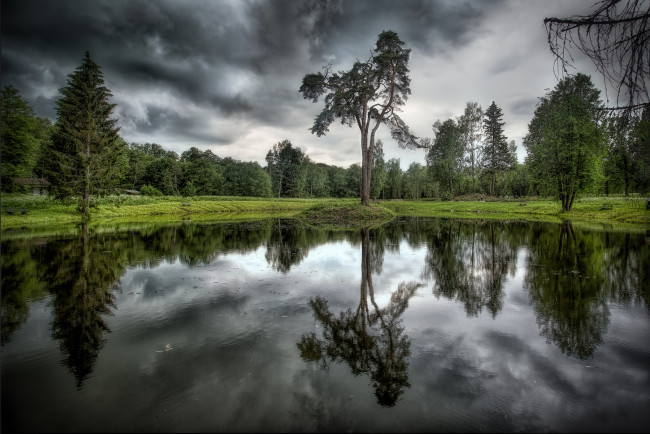 Обои картинки фото природа, реки, озера, лес, река, тучи
