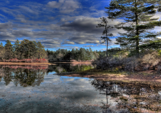 Обои картинки фото природа, реки, озера, лес, река