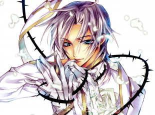 обоя аниме, kiss of rose princess, шипы, перчатки, голубые, глаза, mitsuru, tenjoh, kiss, of, rose, princess, aya, shouoto, art