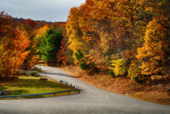 Картинка природа дороги дорога лес