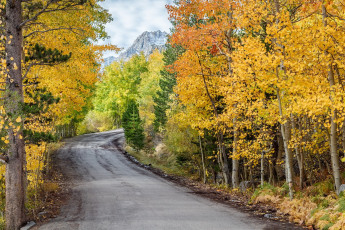 Картинка природа дороги осень лес дорога