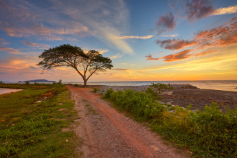 Картинка природа дороги рассвет тракт