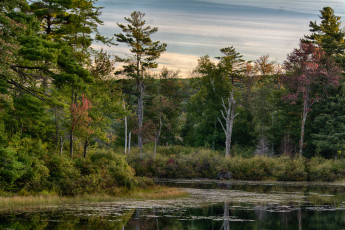 Картинка природа реки озера лес река