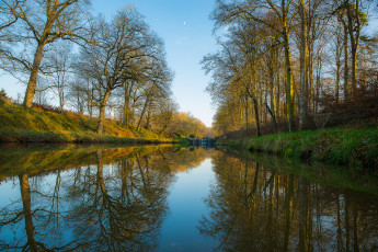 Картинка природа реки озера лес река