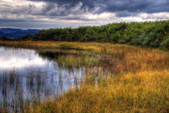 Картинка природа реки озера река лес