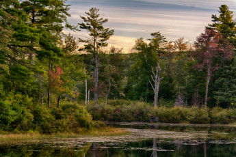 Картинка природа реки озера река лес