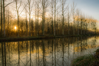 Картинка природа реки озера река лес