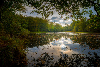 Картинка природа реки озера река лес