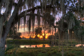 Картинка природа восходы закаты река лес