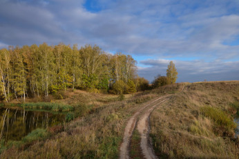 Картинка природа дороги колея поле лес