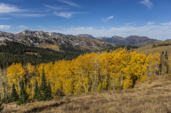 Картинка природа пейзажи краски осень