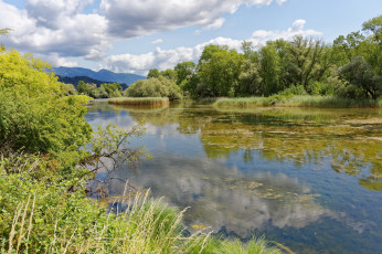 Картинка природа реки озера лес река