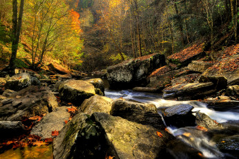 Картинка природа реки озера лес река