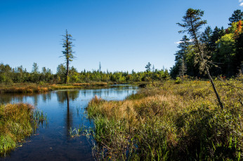 Картинка природа реки озера лес река