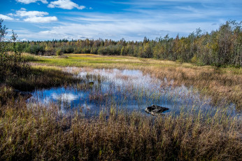 Картинка природа реки озера река лес