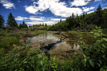 Картинка природа реки озера река лес