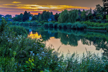 Картинка природа реки озера река лес