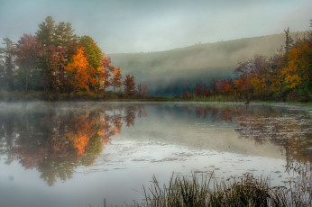 Картинка природа реки озера река лес