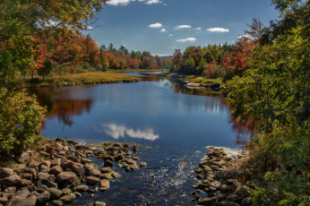 Картинка природа реки озера река лес