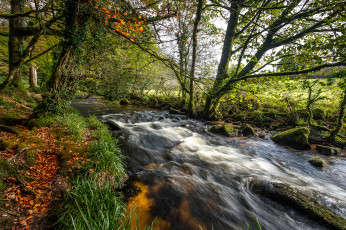 Картинка природа реки озера река лес