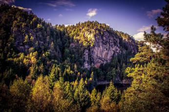 Картинка природа реки озера река лес