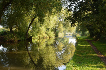 Картинка природа реки озера река лес