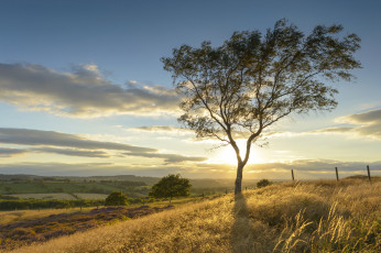 Картинка природа восходы закаты рассвет