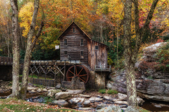 Картинка разное мельницы лес река мельня