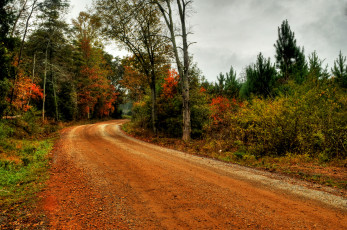 Картинка природа дороги тракт лес