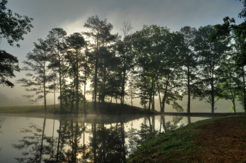 Картинка природа реки озера река лес