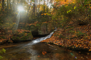 Картинка природа реки озера река лес