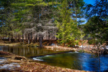 Картинка природа реки озера река лес